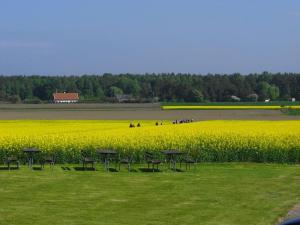 Awesome Home In Löderup With 2 Bedrooms And Wifi