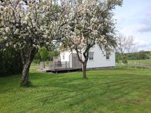 Nice Home In Uddevalla With 1 Bedrooms And Wifi