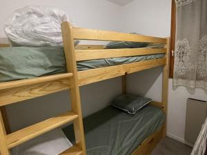 Appartements Charmant T2 au Lioran avec acces direct aux pistes et animaux admis - FR-1-787-90 : photos des chambres