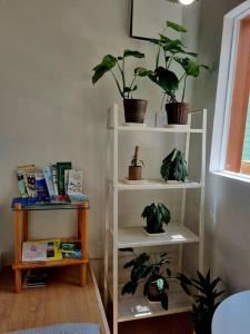 Green House - Foreigner Only