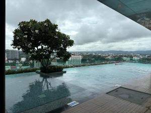 Astra Bee friend Chiangmai