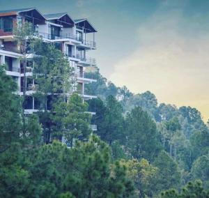 The Oak pine kasauli 7o1827o7o3