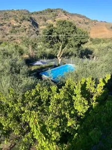 Villino Anna e Pippino - 卡拉塔菲米