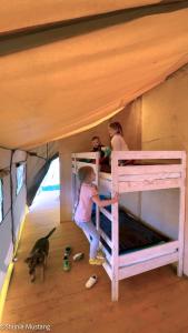 Spokojny Glamping