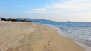 Orion Naxos Hotel Naxos Greece