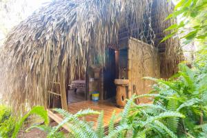 Khu Du Lich Sinh Thai Ako Ea Homestay Ako Ea