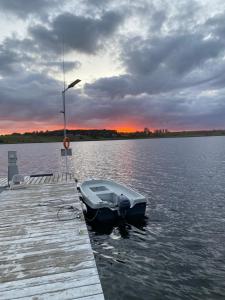 Królowa Luiza i Wiking