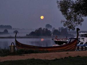 Królowa Luiza i Wiking