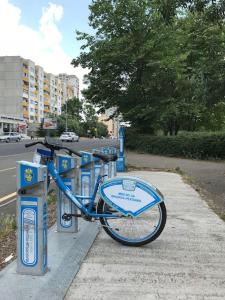 Luxury and Cozy Apartment with lots of Sun
