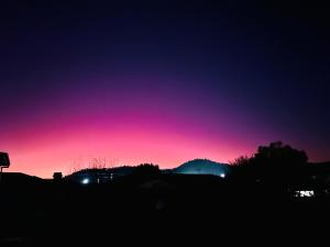 Rosellas on Corundum Cottage - treat yourself!