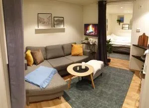 Moderne leilighet nær sentrum - Guleng