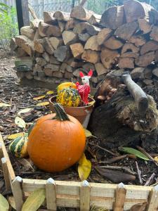 Haus mit Sauna am Waldrand - Nähe Brombachsee Altmühlsee