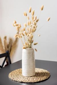 Appartements Appartement centre ville ideal cures proche gare : photos des chambres