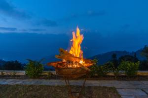 House of Hive, Mukteshwar