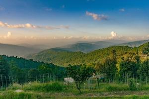 House of Hive, Mukteshwar