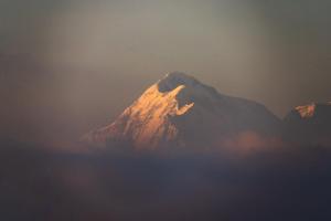 House of Hive, Mukteshwar