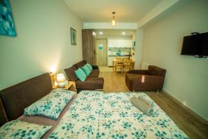 Bakuriani Plaza A208