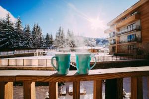 Bakuriani Plaza A208