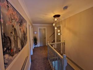 Stylish and Modern 7 Bedroom house near Brecon Beacons