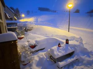 Appartements Chalet Aster : photos des chambres