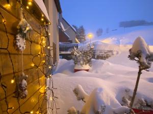 Appartements Chalet Aster : photos des chambres