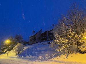 Appartements Chalet Aster : photos des chambres
