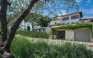 Villa Castiglione 10