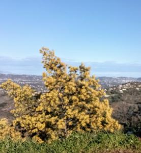 Appartements La Quietude : photos des chambres