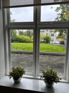 Apartment in downtown Reykjavik - Birta Rentals