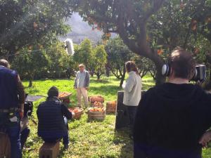 Camí de Ses Fontanelles 34, C.P: 07100, Sóller, Majorca, Spain.