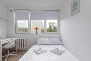 Pramonės Apartment #8 by PoloApartments