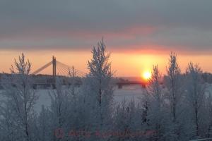Studio apartment on Freedom street By BookLapland