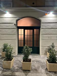 Green Moon-Emme Loft