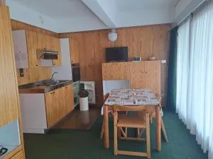 Appartamento Marilleva 1400 Residence Albarè Mezzana, TN - 马里尔伊瓦