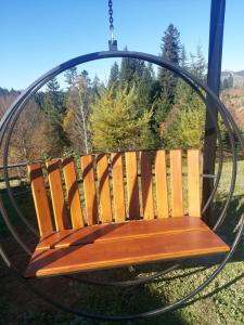 Карпатська Модринка