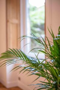 Artists Flat 7 min to R Mile