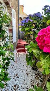 Charmant Studio au cœur de Dinard