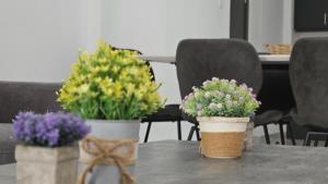 STAY Aquamarine Apartment