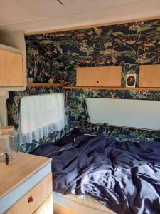 Maisons de vacances La vie calme : photos des chambres