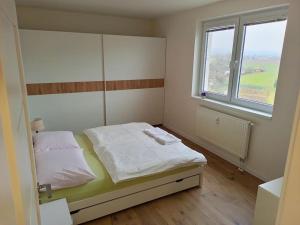 Lovely apartment with balcony and free parking