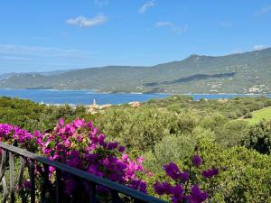 Villas Villa KALLISTE 3 pieces avec vue mer sur les hauteurs de Propriano : photos des chambres