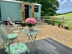 Little Bo Peep - Fremington