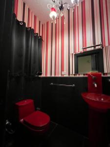 New Cairo guest house down town females only shared apartment