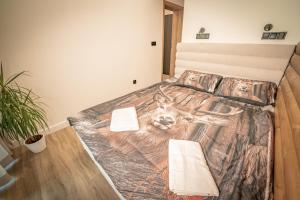 Apartamenty Alegrima