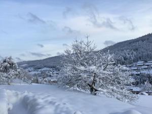 Ferienanlage Freyenhöfe