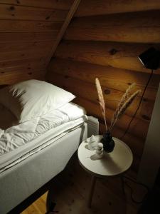 Vähäreinari, mökki Ylläksellä