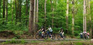 RHOLL Pension & Restaurant