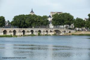 Villas Chez Babou : photos des chambres