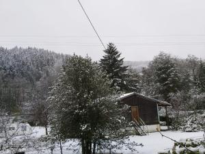 Appartements Evasion Nature Rimbach : photos des chambres