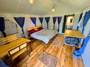 Imilia Camps - Jogindarnagar